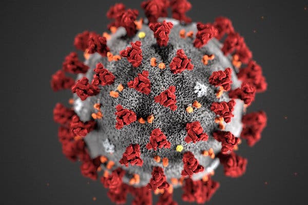 Scientists Claim Exposure To Some Common Human Coronaviruses Might Enhance Immunity Against COVID19