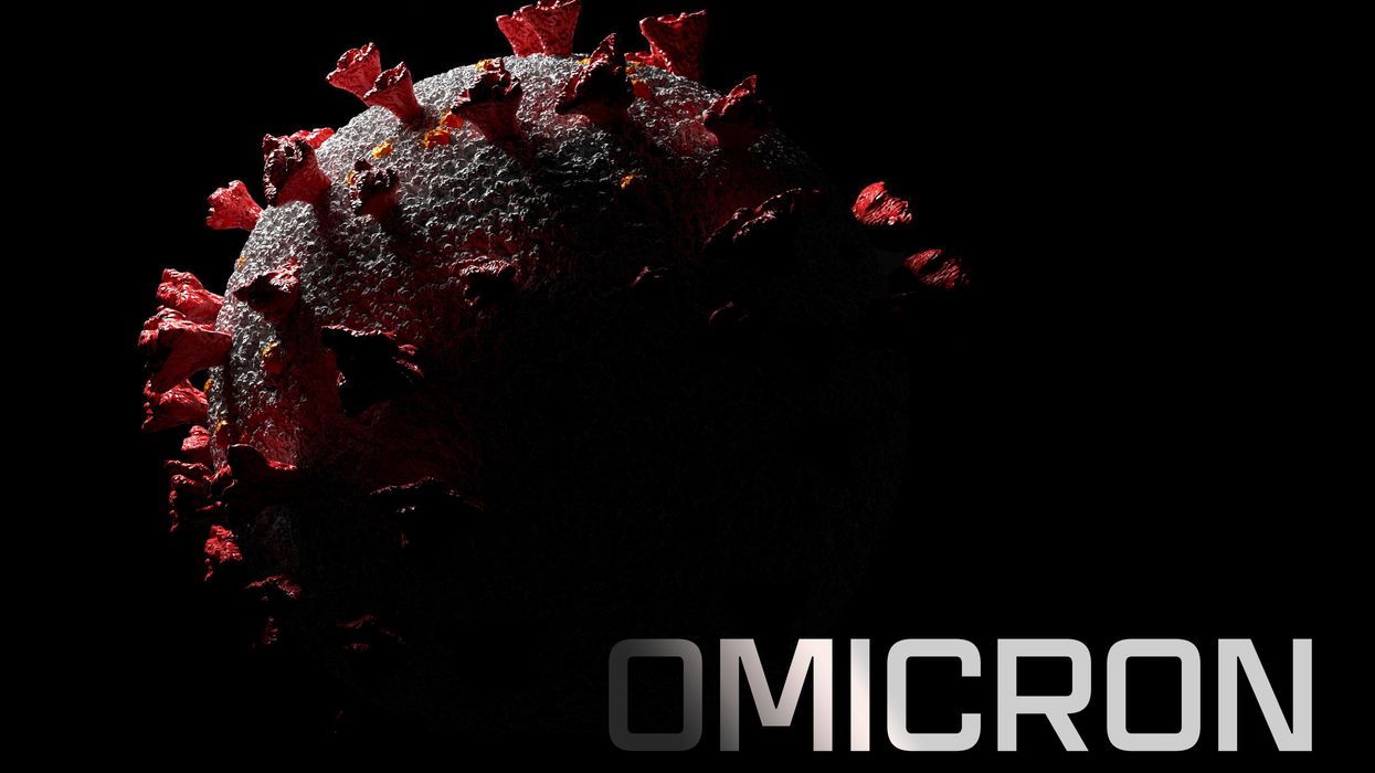 Omicron- What are our knowledge about the stealth version