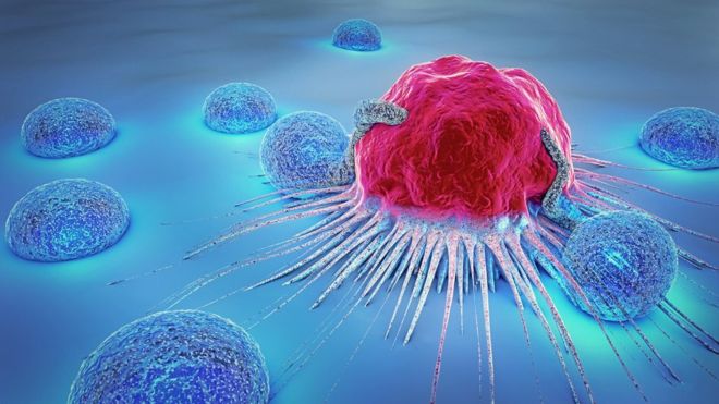 Cancer Genetics Research to Support Targeted Treatment