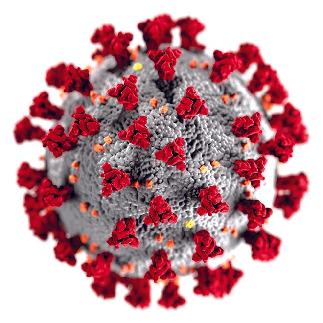 How Did This Mysterious Virus Spread So Quickly?