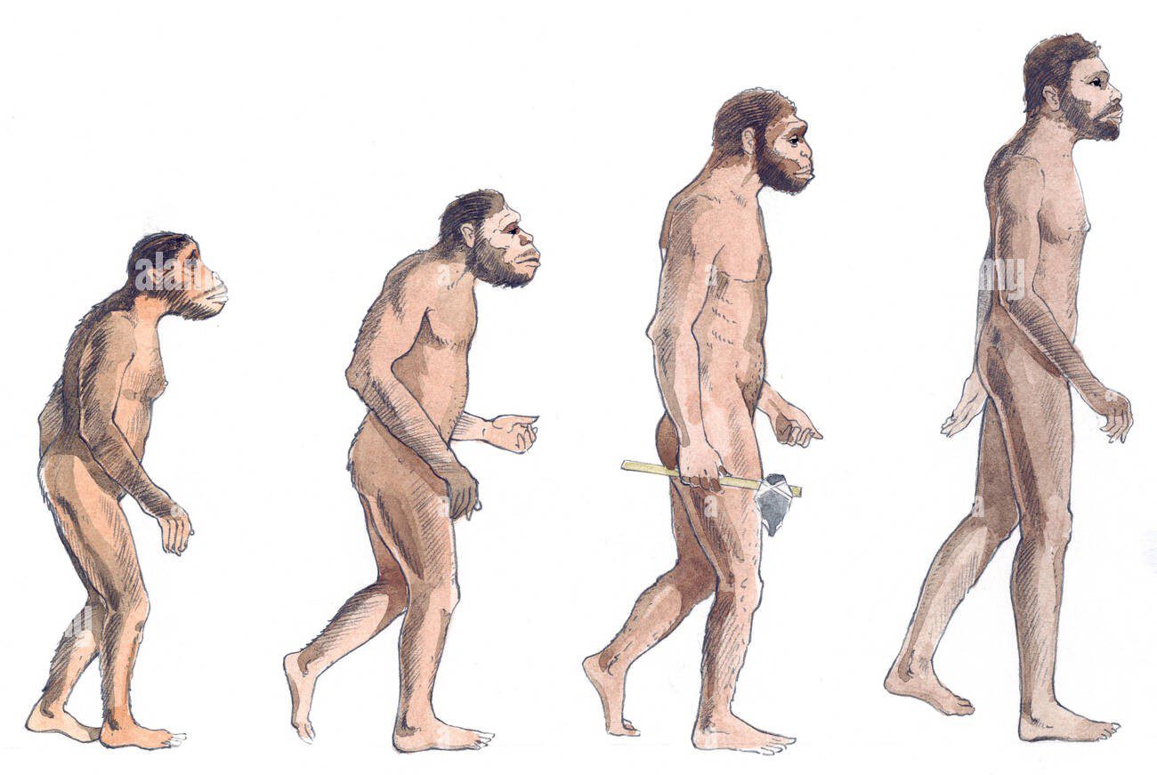 new-study-shows-that-the-theory-of-evolution-might-be-wrong