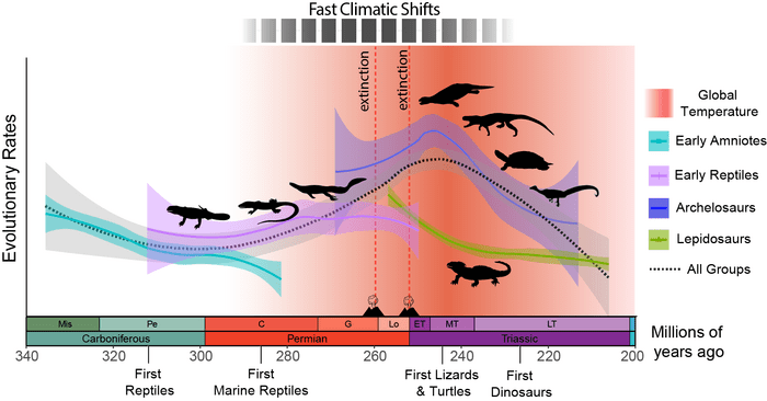 The peak of new reptile species came in the early Triassic, but the upswing had started earlier, and coincided with temperature fluctuations
