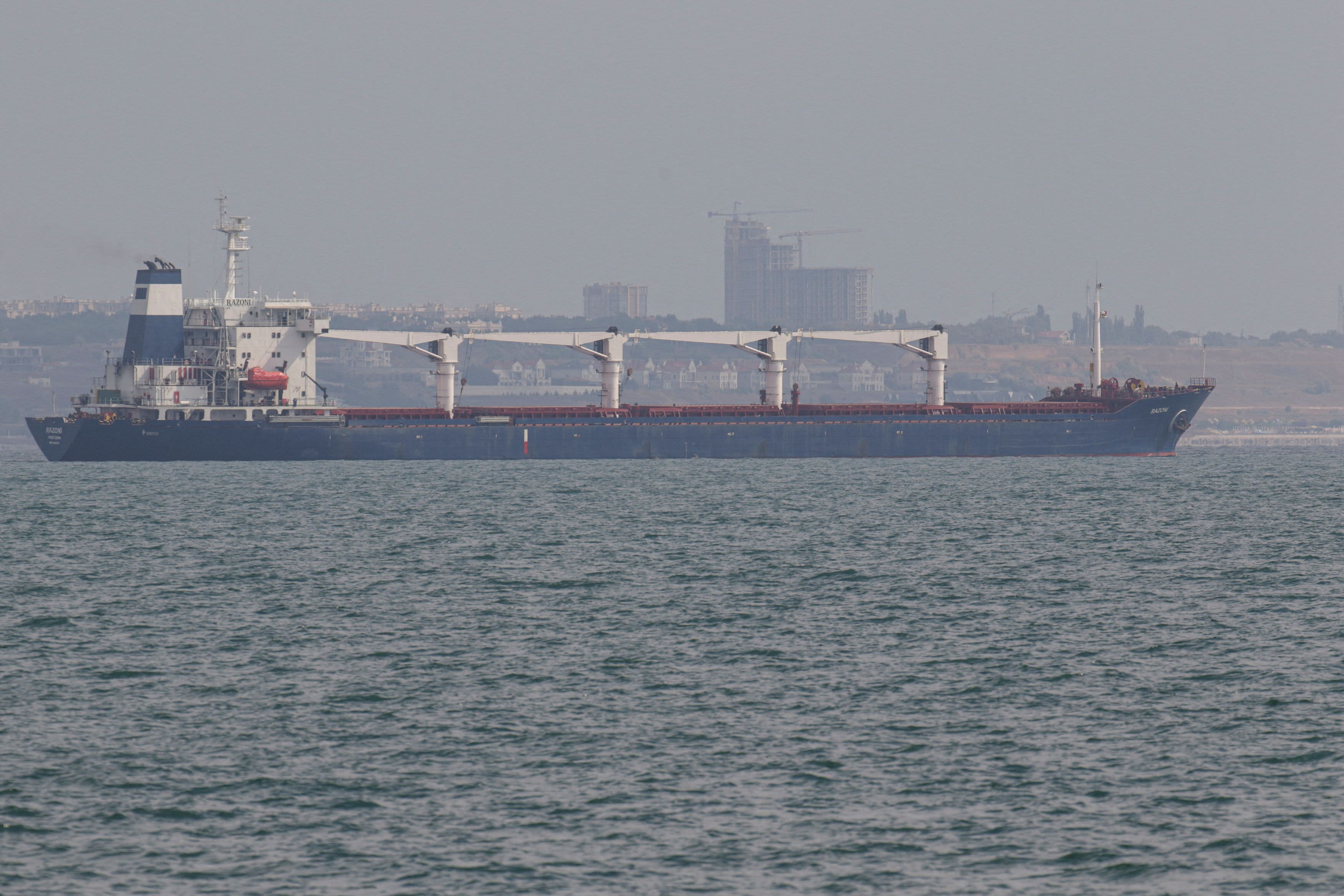 Ukraine's First Grain Ship Leaves Port Since Russia's Blockade