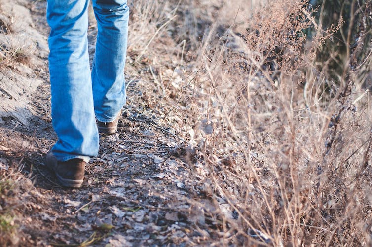 Older person walks in the bush