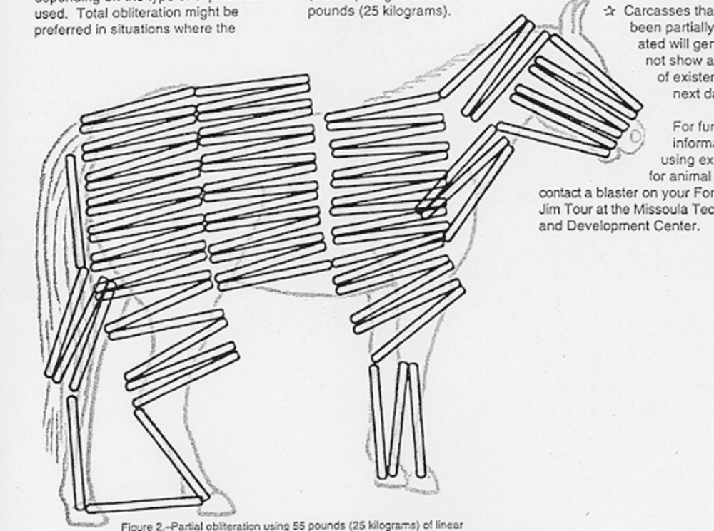 A horse, as shown above, now covered in many more sticks of explosives