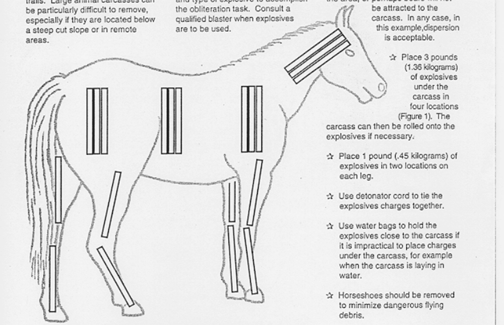 An illustration of a horse, with bars representing explosives scattered around its body.