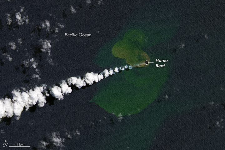 Sallite image showing the newly formed island in the Pacific Ocean with a plume of steam stemming from it. 
