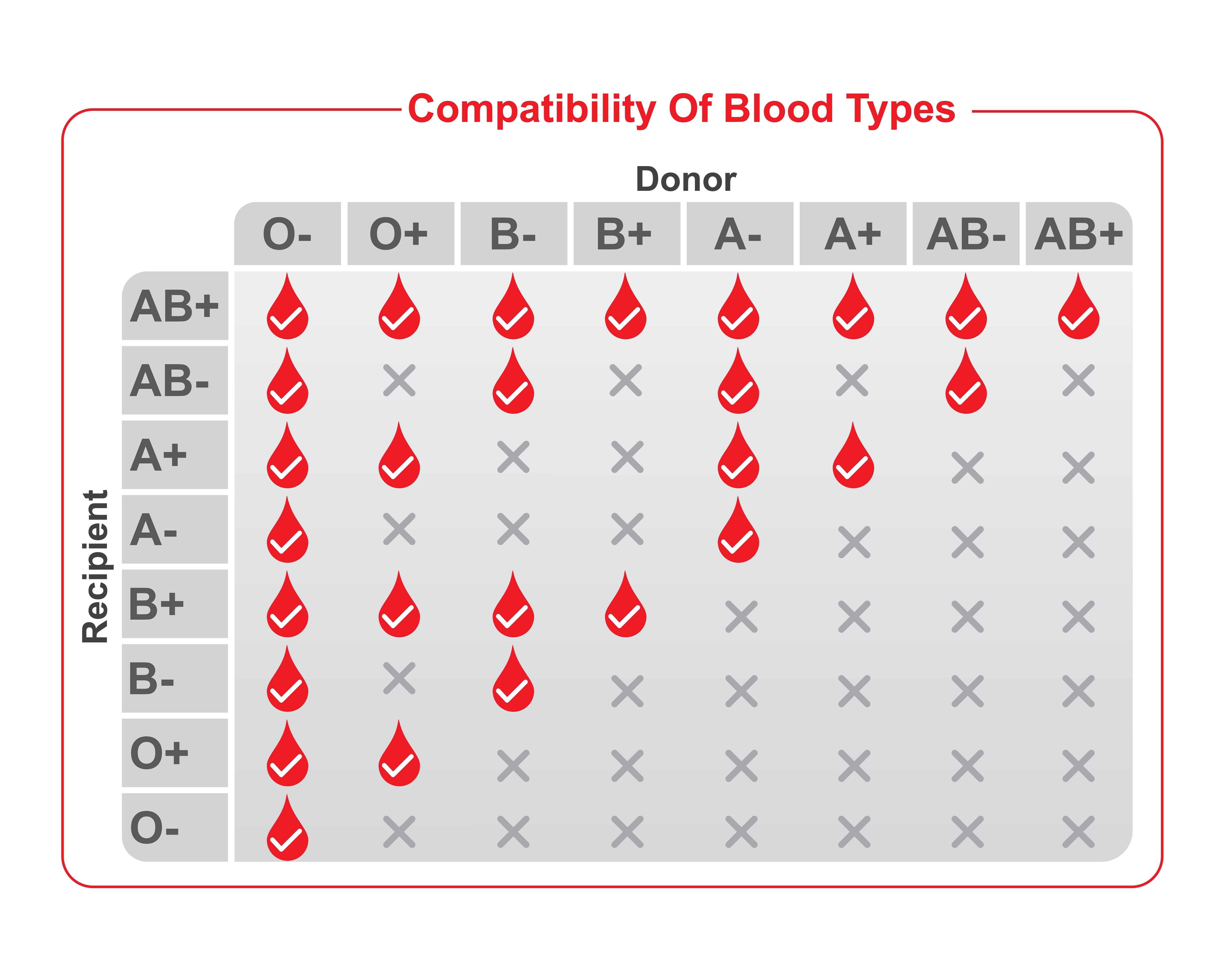 A table showing Blood Types Compatibility between donors and receipients..