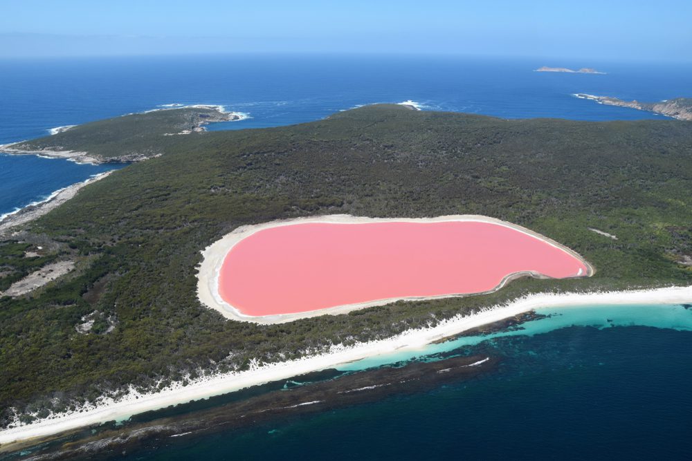 The famous pink lake, Lake Hillier, in Western Australia