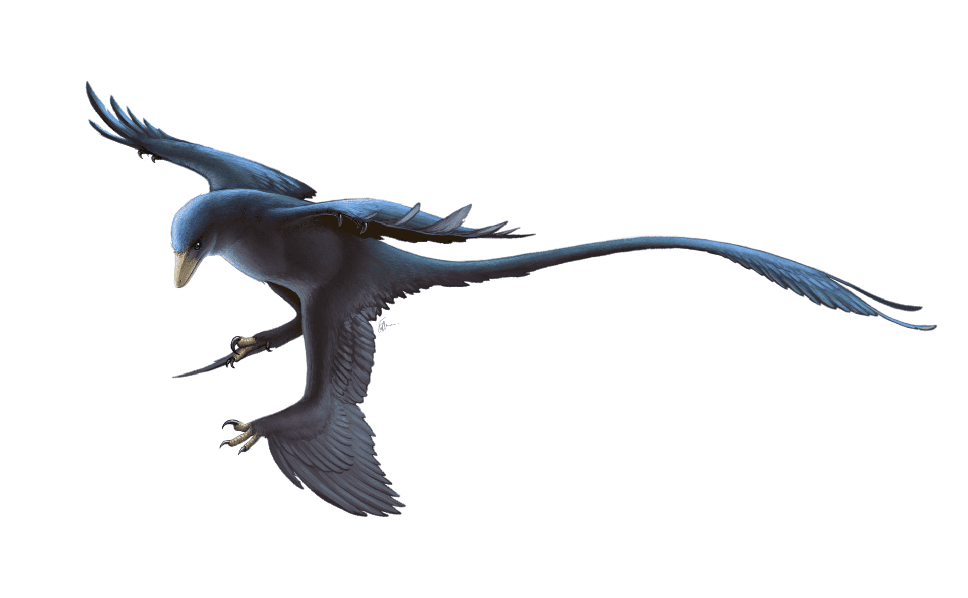 Microraptor