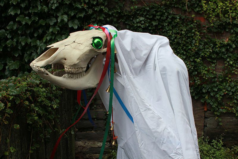 Mari Lwyd 