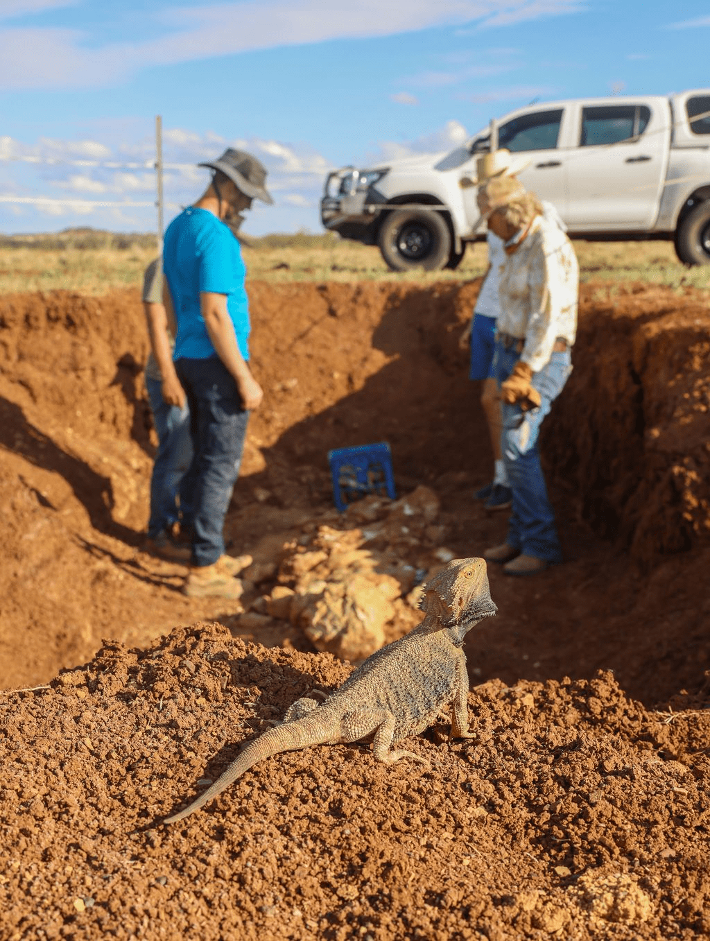 A modern lizard came to check out its ancient relative