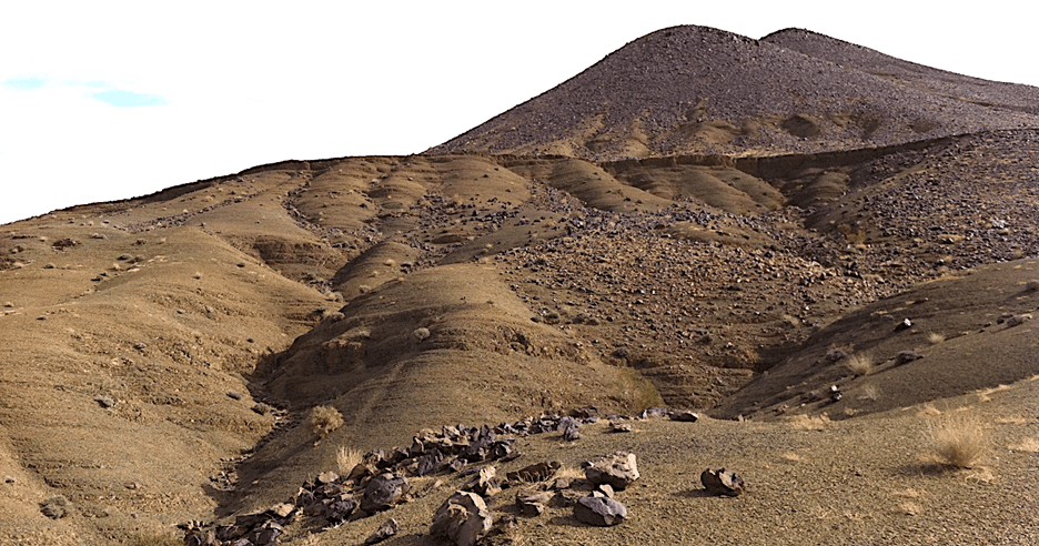 Today Fezouata is about as stark desert as anywhere on Earth, but in the Ordovician it was at polar latitudes and had a thriving ecosystem off the African coast