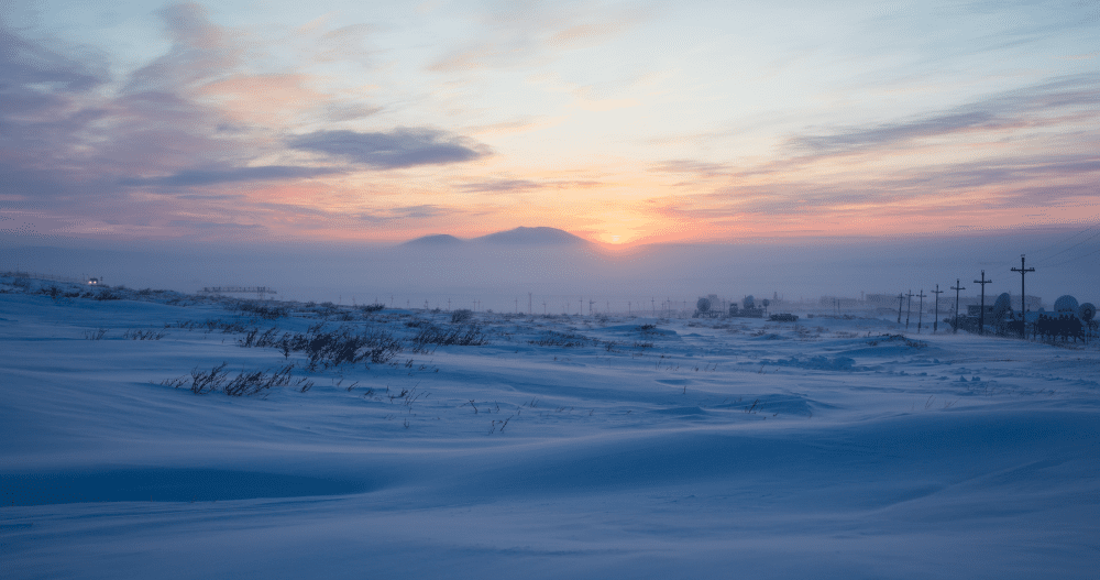 reindeer eyes twilight