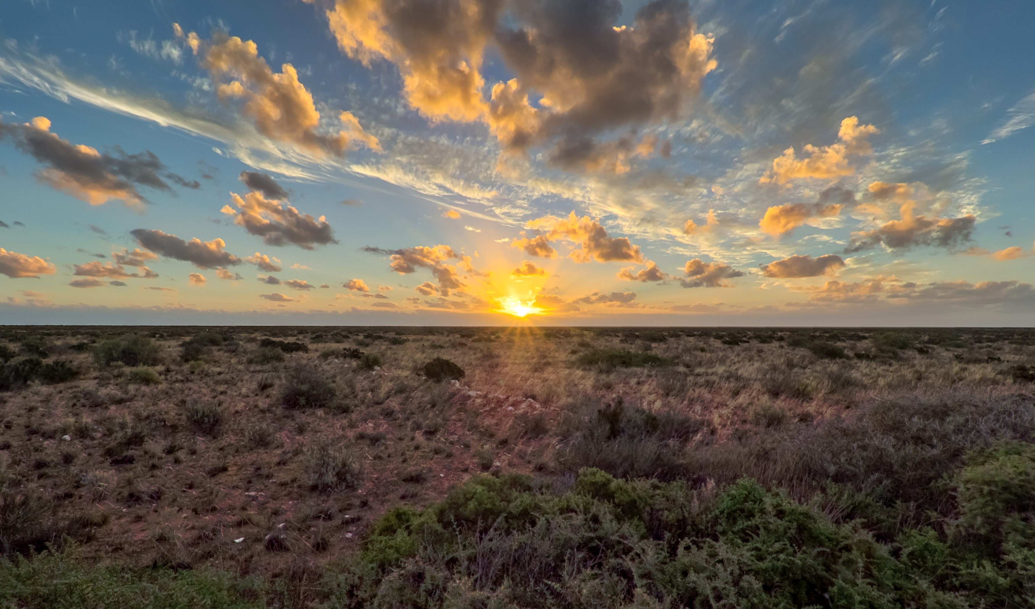 The Nullarbor plain living up to its name, and revealing the beauty that exists above the ground hear the valandalized cave.