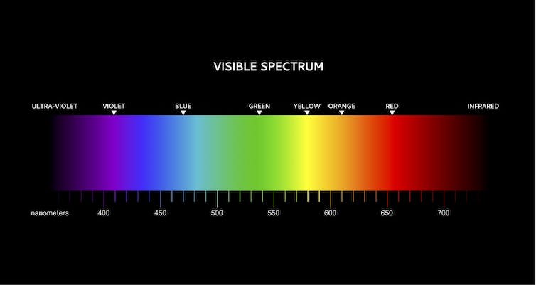 Diagram of the colours in the visible spectrum.