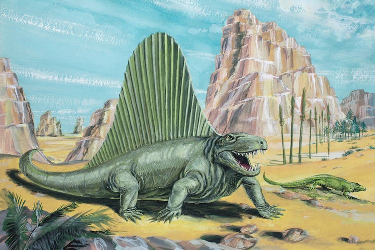 Colourful illustration of a green, reptile-like animal with a large semi-circular fin across its entire back