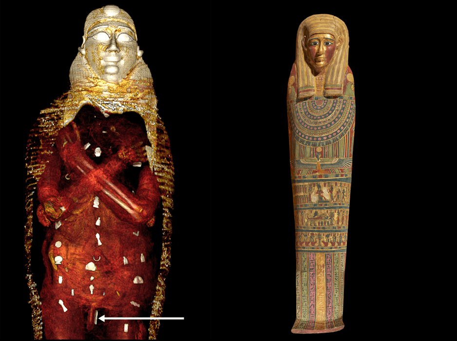 The inside and outside of Golden Boy ancient mummy coffin.