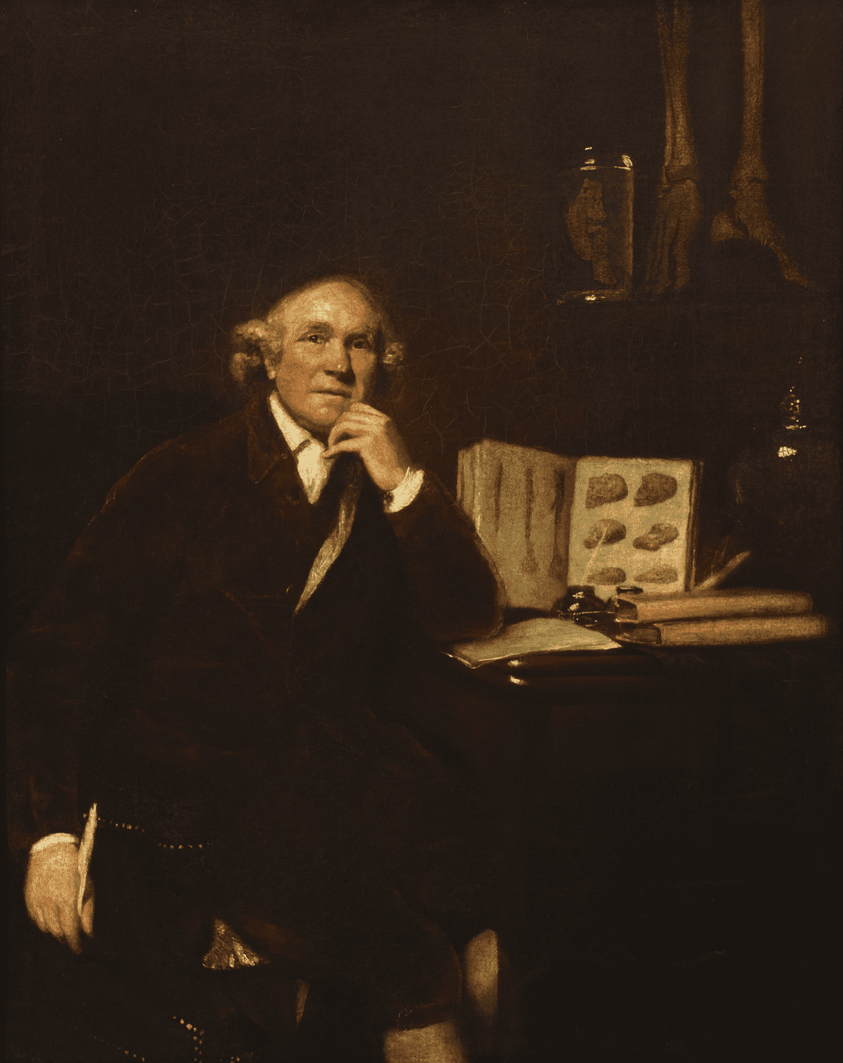 Portrait of John Hunter (1728-1793) by Sir Joshua Reynolds (1723-1792), 1785