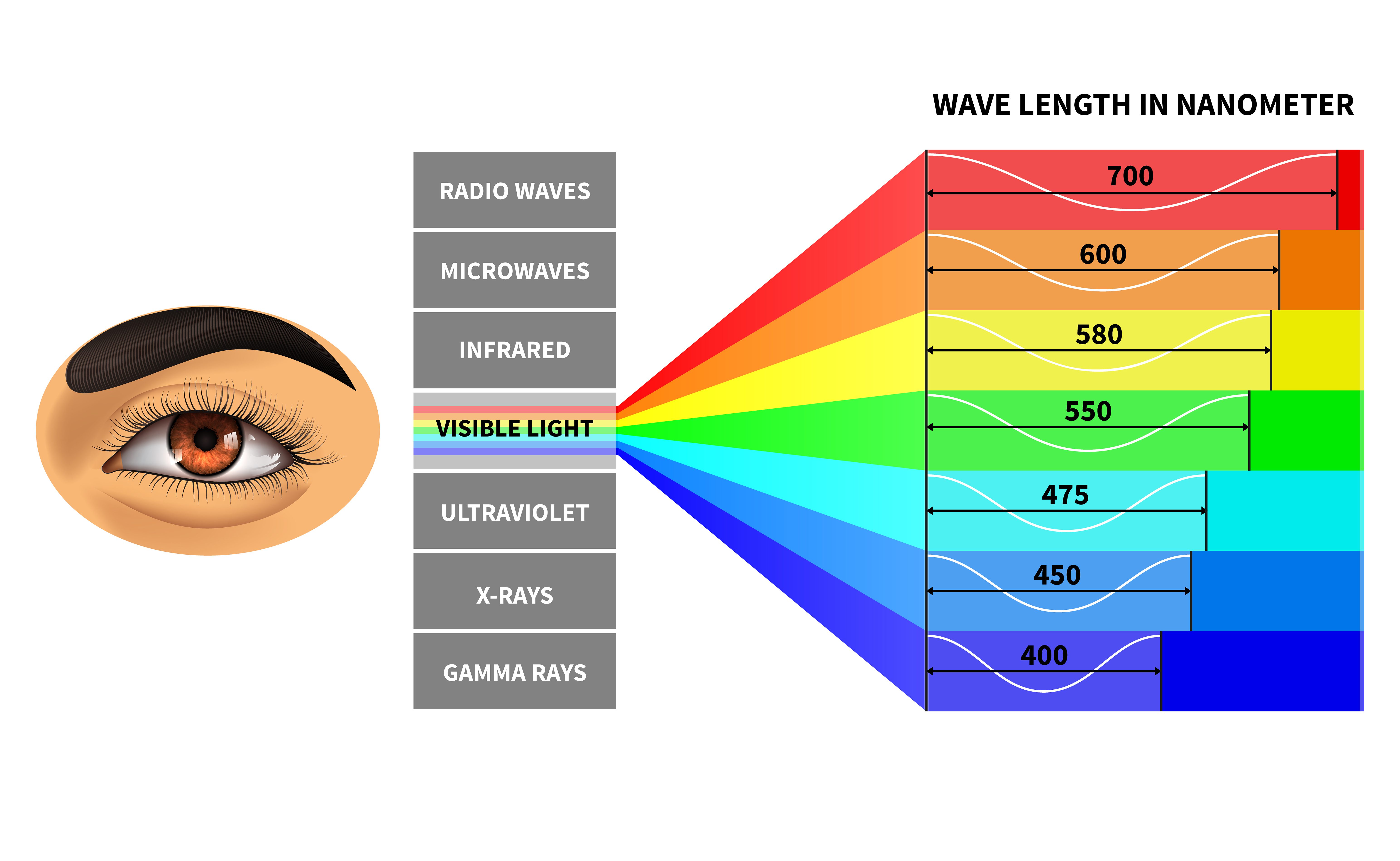 The visible light spectrum in nanometers