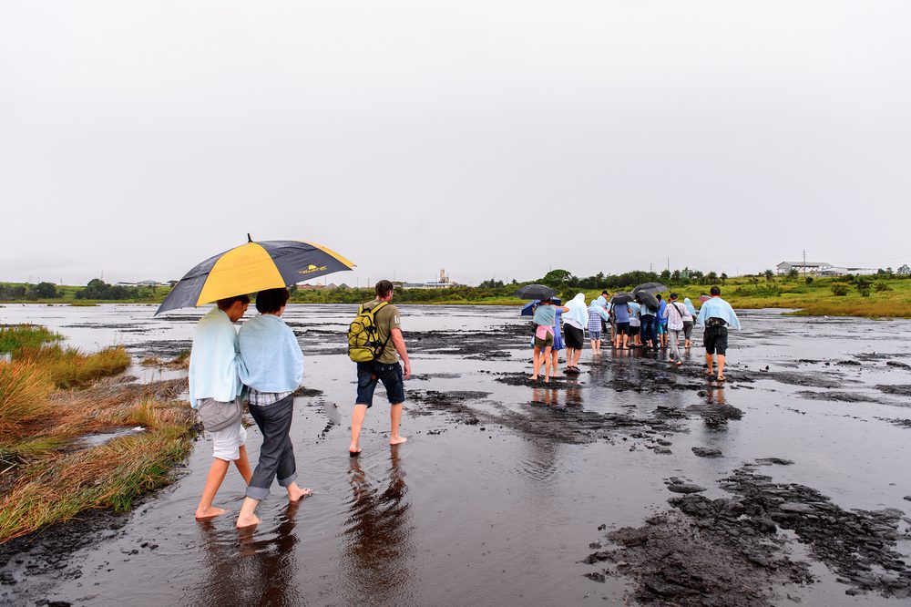 Group of tourists walking at the Pitch Lake, the largest natural deposit of asphalt in the world, La Brea, Trinidad and Tobago.