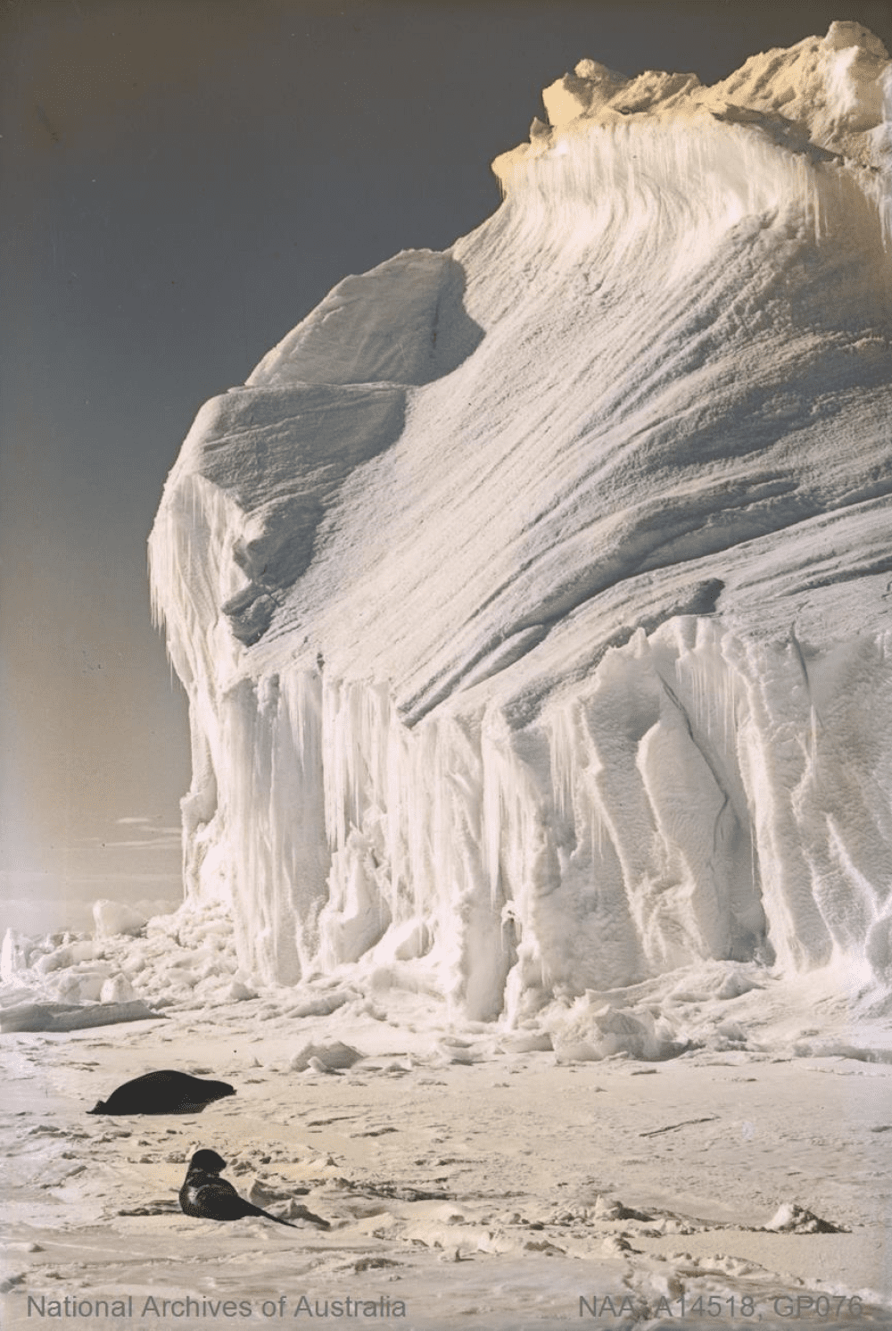 antarctica 1911