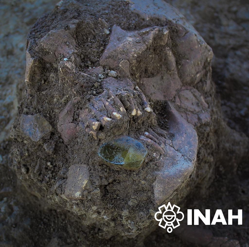 A human skull, showing green quartz earrings