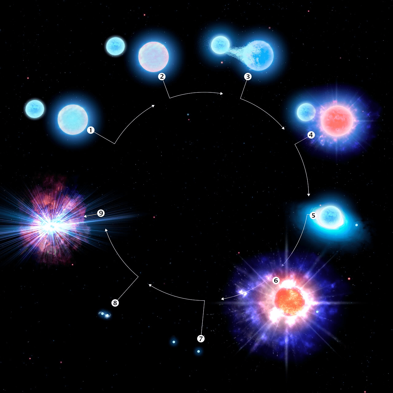 The evolution of CPD-29 2176, 1, two massive blue stars form in a binary star system. 2, the larger star nears the end. 3, the smaller star siphons off material from its larger, more mature companion,.4, the larger star forms an ultra-stripped supernova 5, Currently the resulting neutron star is siphoning off material from its companion. 6, The companion star also undergoes an ultra-stripped supernova. 7, a pair of neutron stars remain. 8, the two neutron stars spiral into toward each other, 9 A kilonova, the cosmic factory of heavy elements in our Universe. 