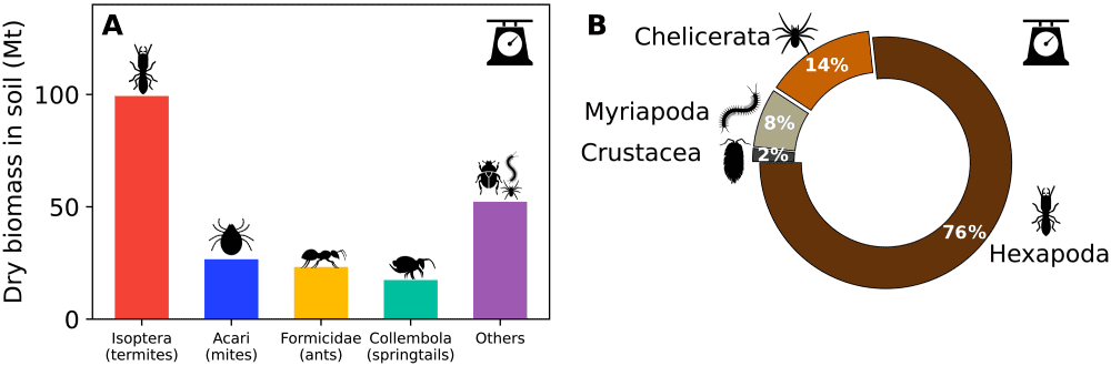 total weight of insects