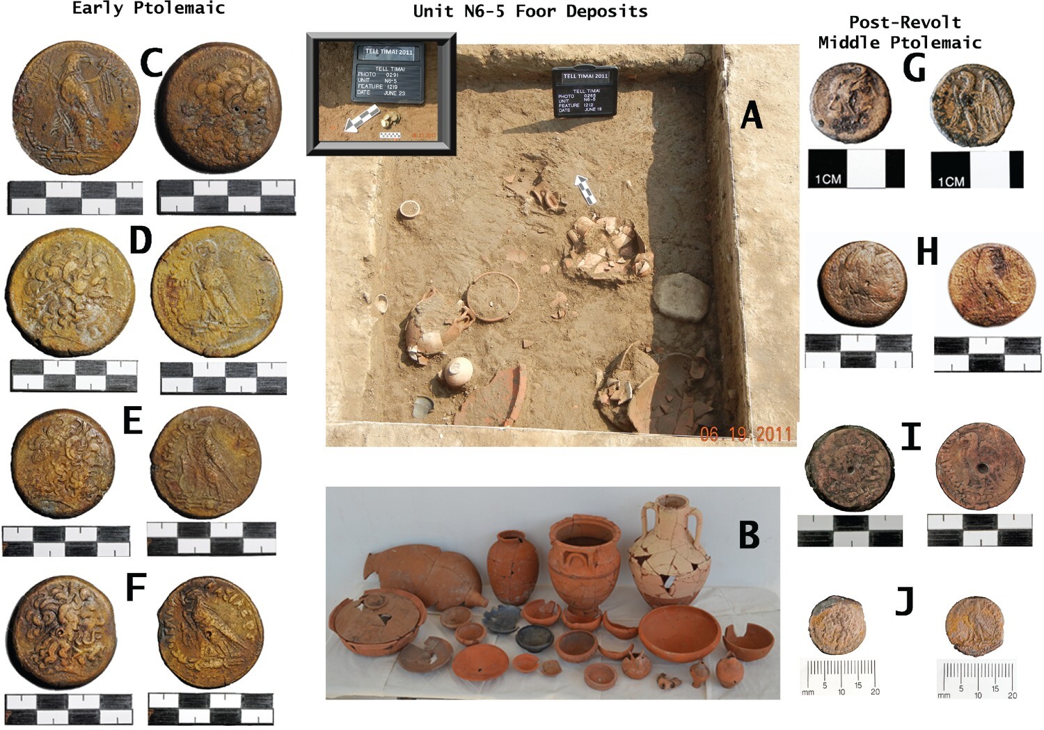 A sample of coins from the coin hoard and from the fill-leveling layer