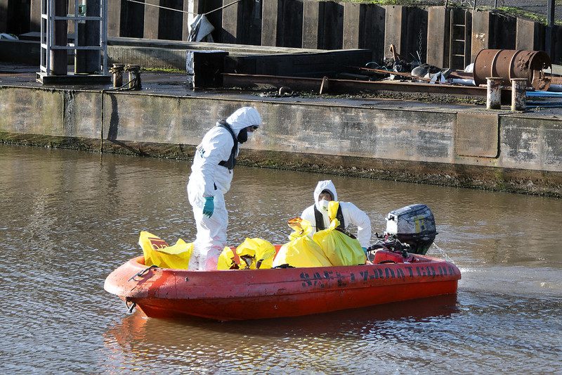 Authorities collecting deceased swans in an inflatable boat