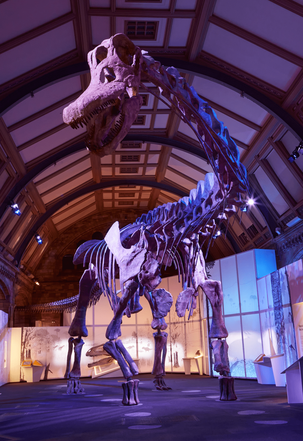 titanosaur exhibition