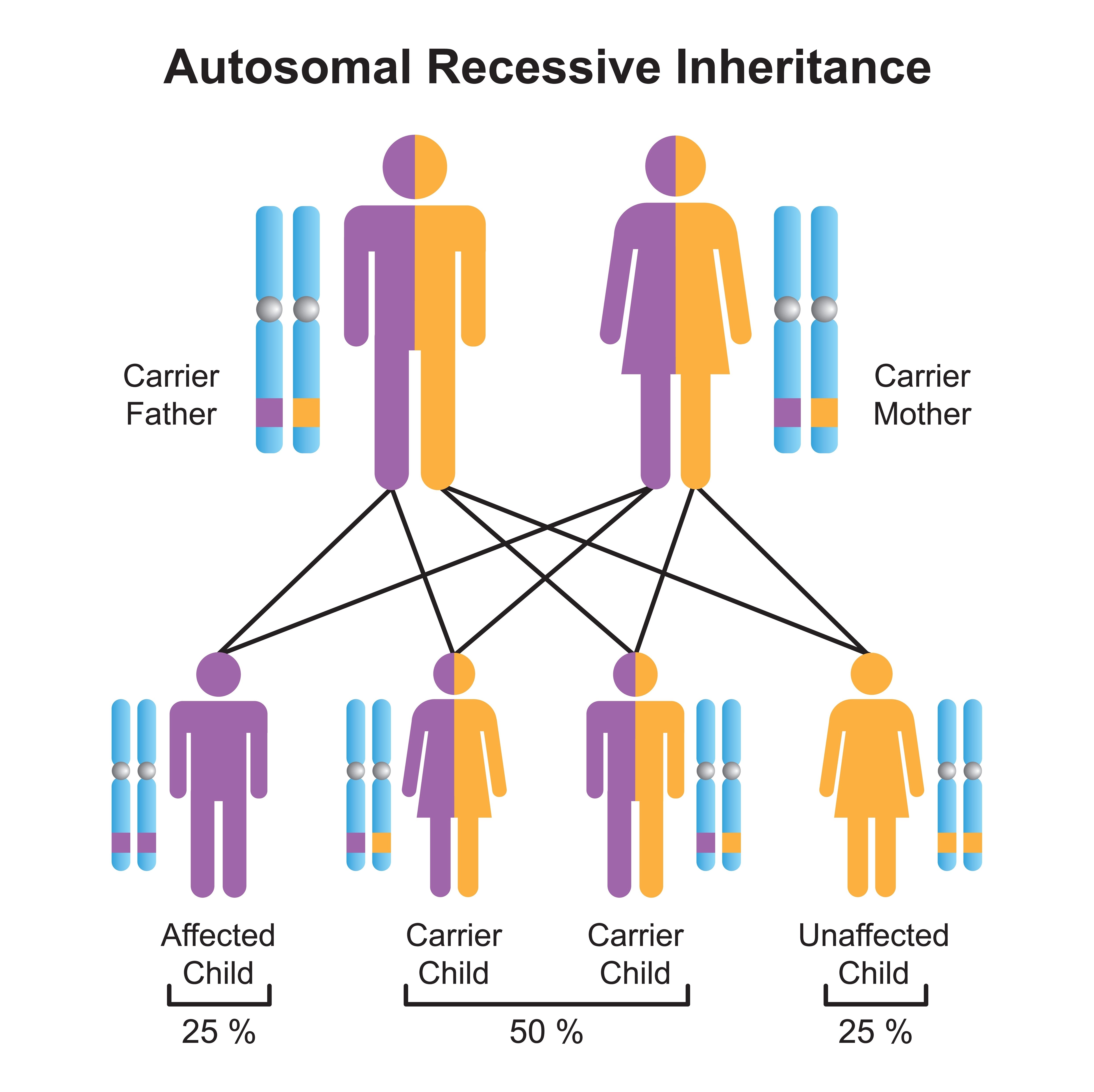 Autosomal recessive inheritance tree