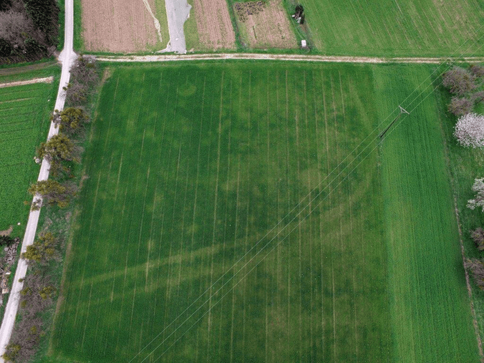 aerial view of field with straight line showing where different vegetation is growing