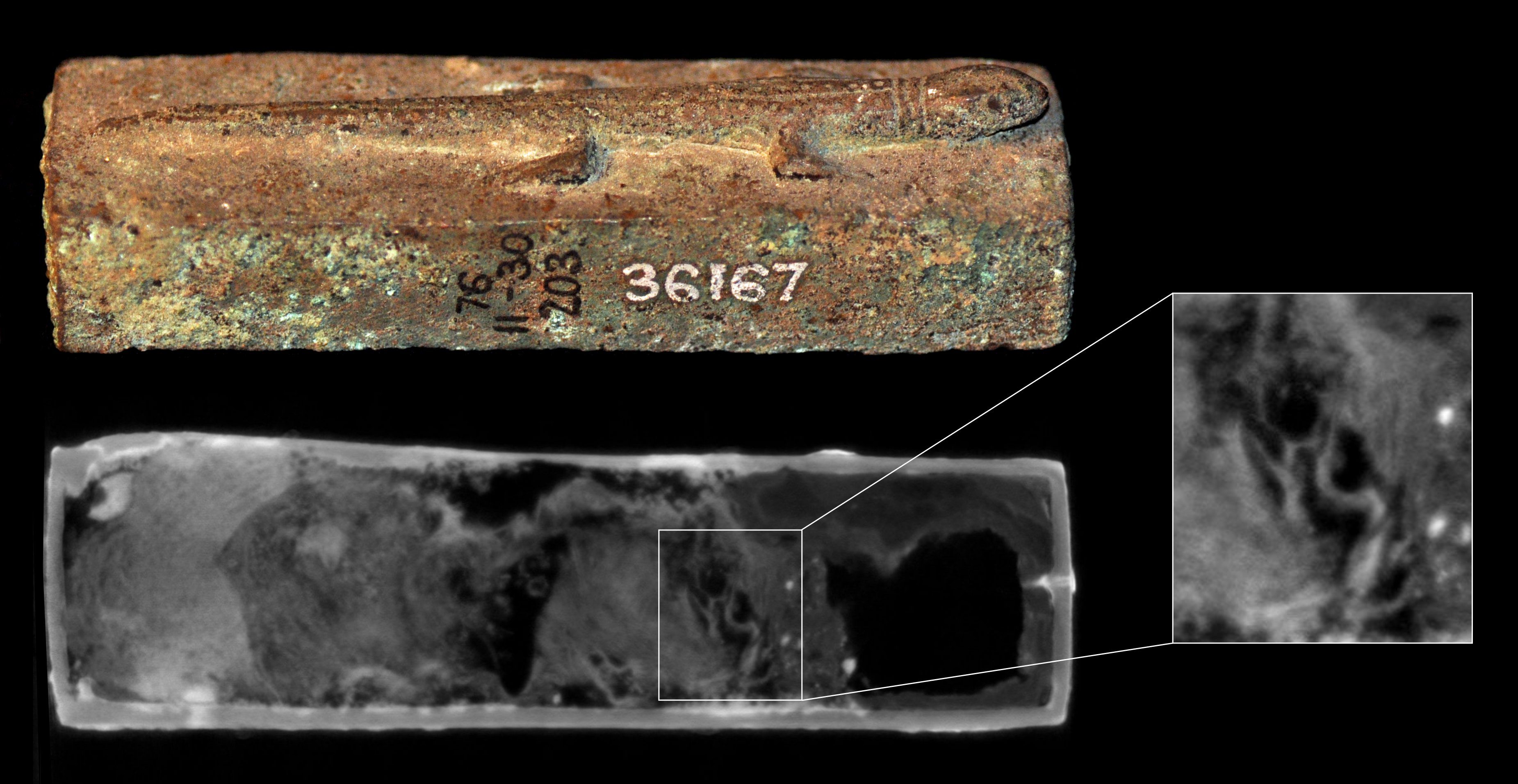 The team used neutron imaging to reveal a lizard skull (inset) in one of the coffins. 