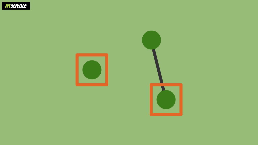 green dots on green background