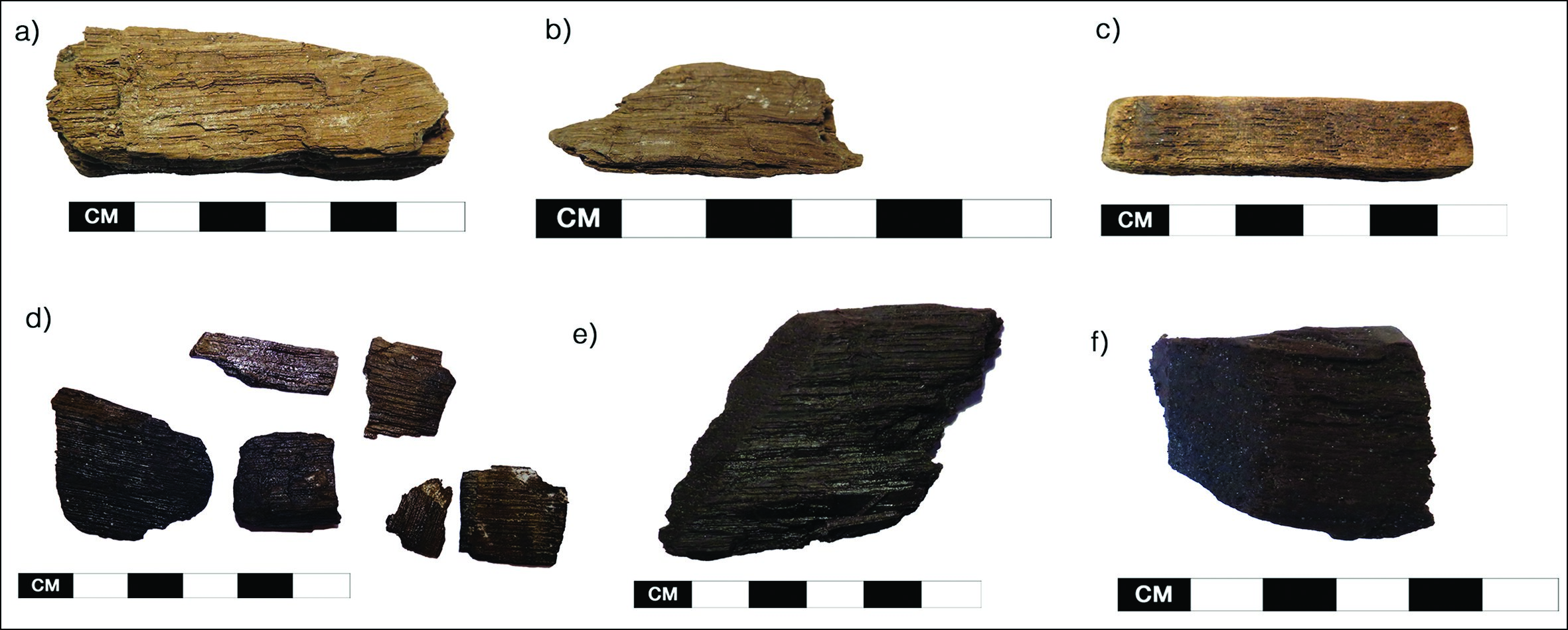 Medieval Viking timber samples that were analyzed in this new study