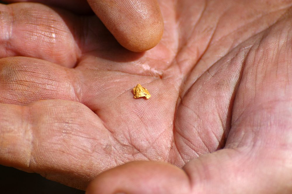 A hand open with a tiny gold nugget in the cenre of the palm 