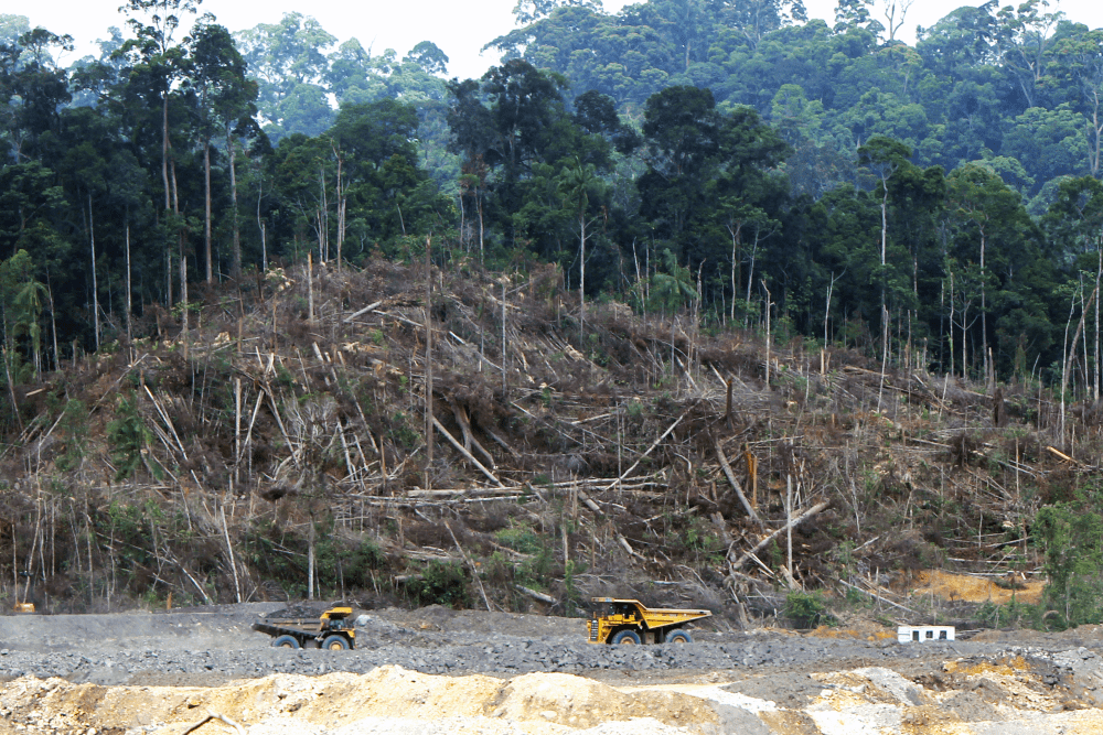 deep sea vs terrestrial mining