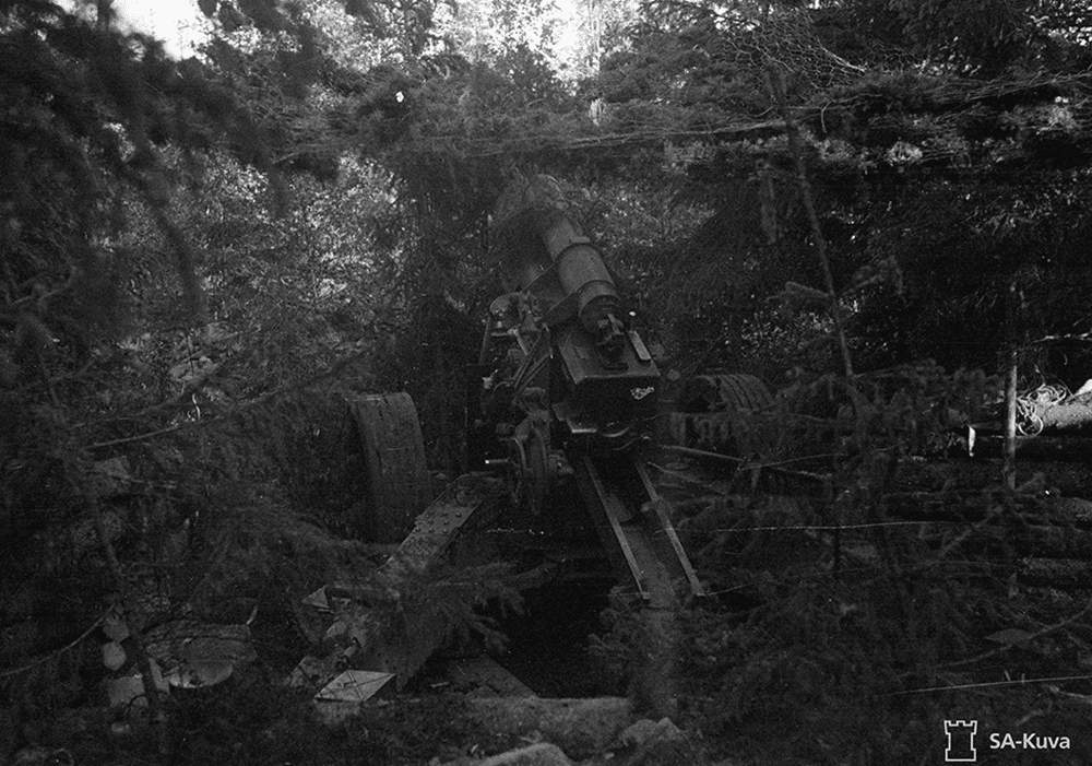 A large gun, hidden in the trees.