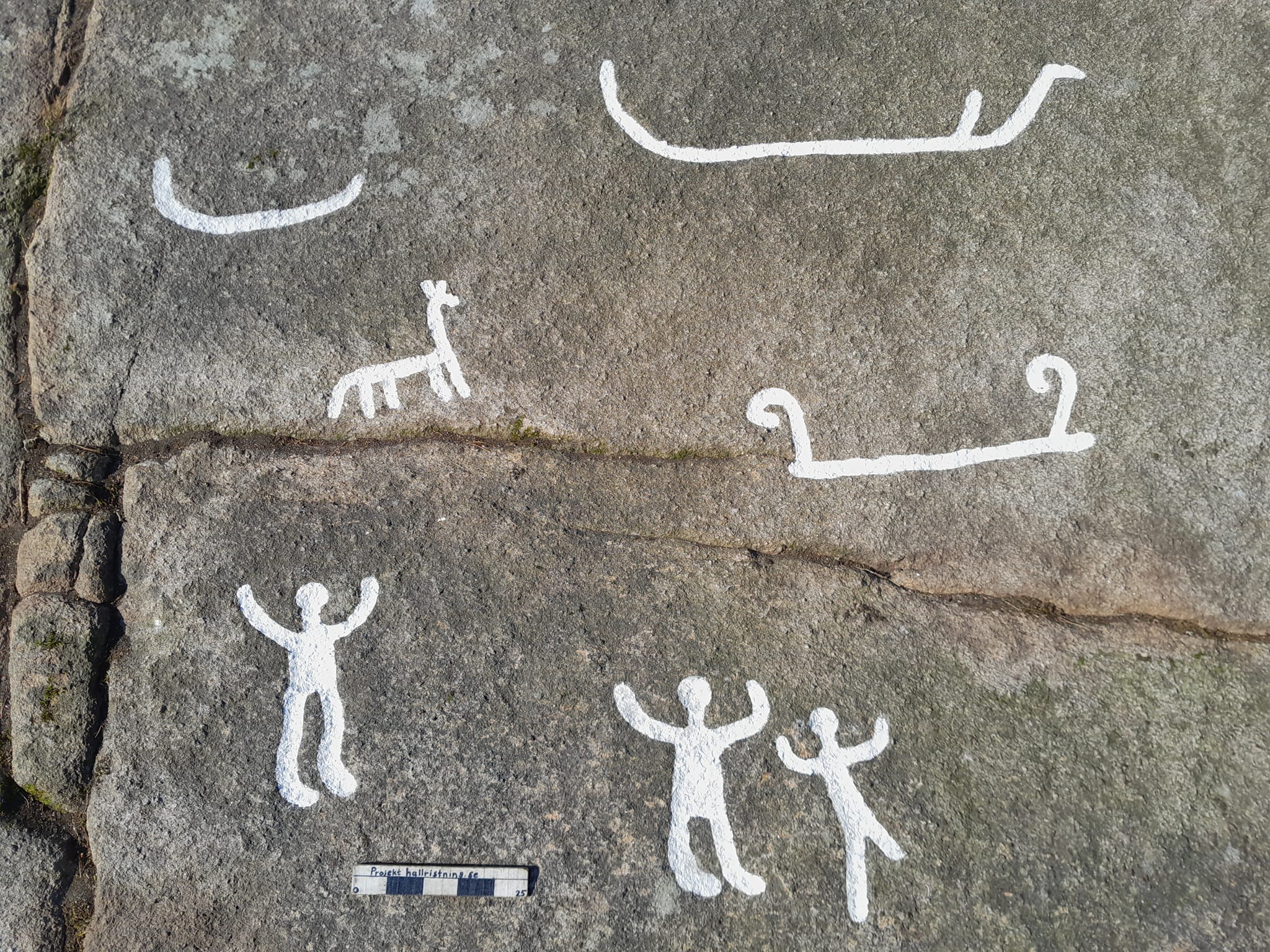 Human, animals, and boats in a newly found rock carving in Sweden. 