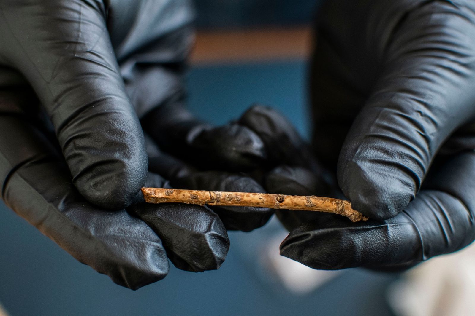 12,000-year-old flutes discovered in the Levant 