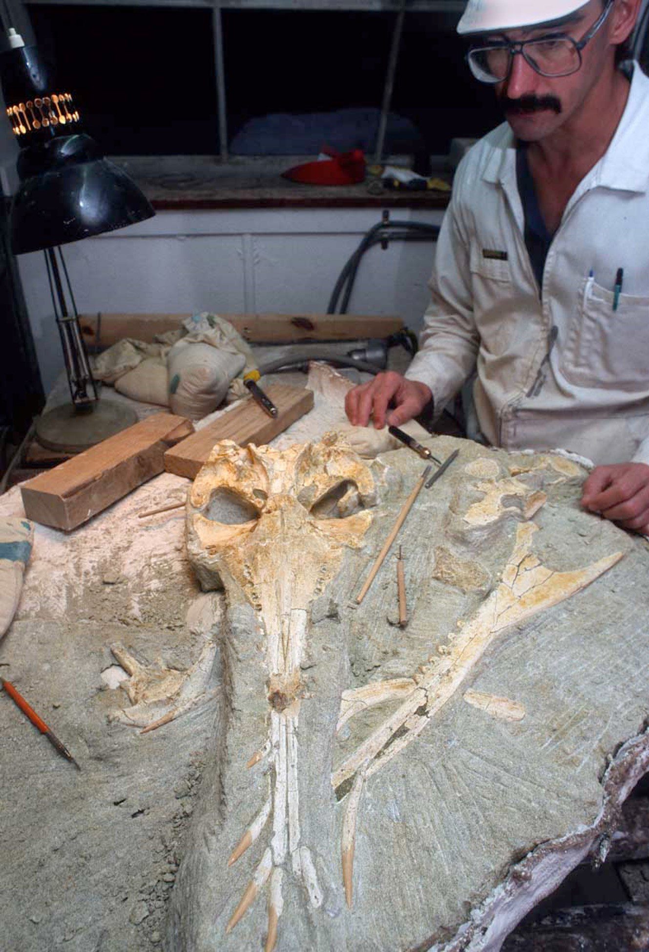 Andrew Grebneff prepares the skull for analysis