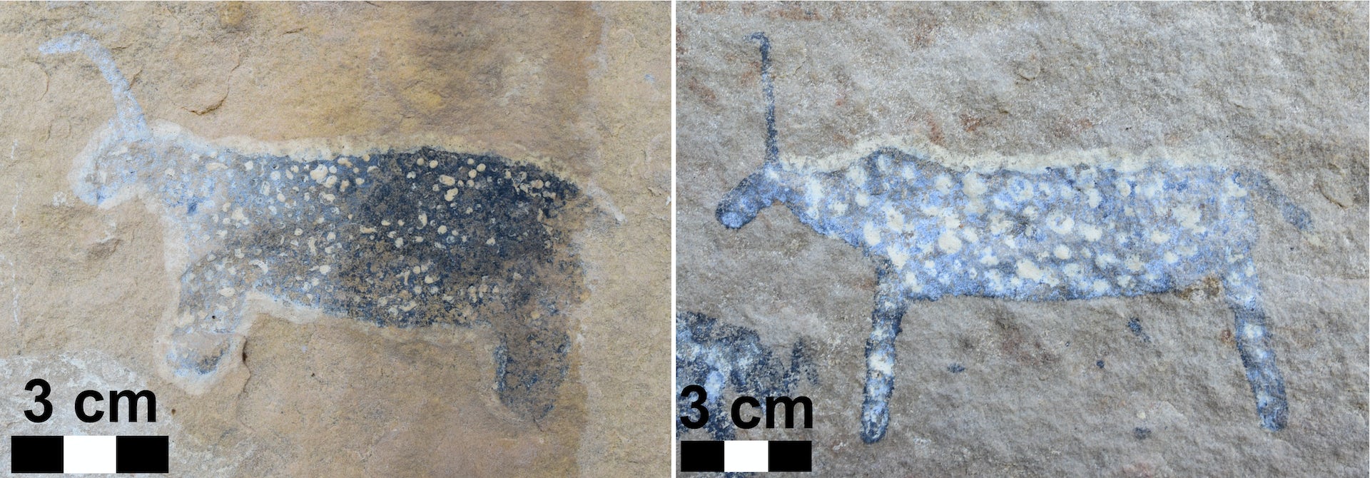 Two pieces of rock art depicting Rain-animals with horns that point up or curve forward at a site near Indwe