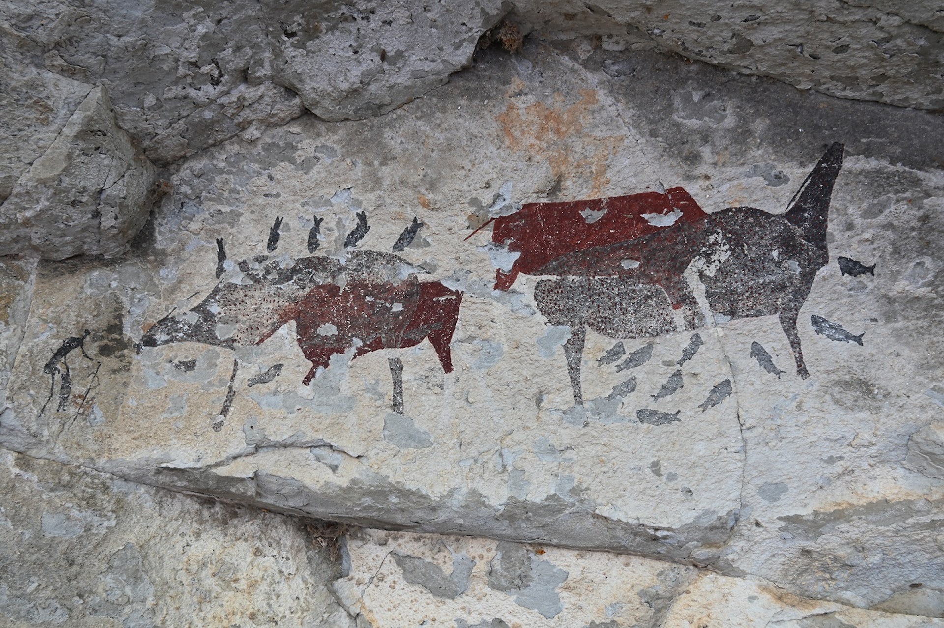 Rock painting depicting a pair of spotted one-horned animals surrounded by fish