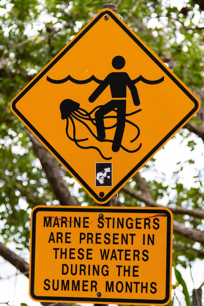 yellow and black warning sign for dangerous marine stingers or jellyfish