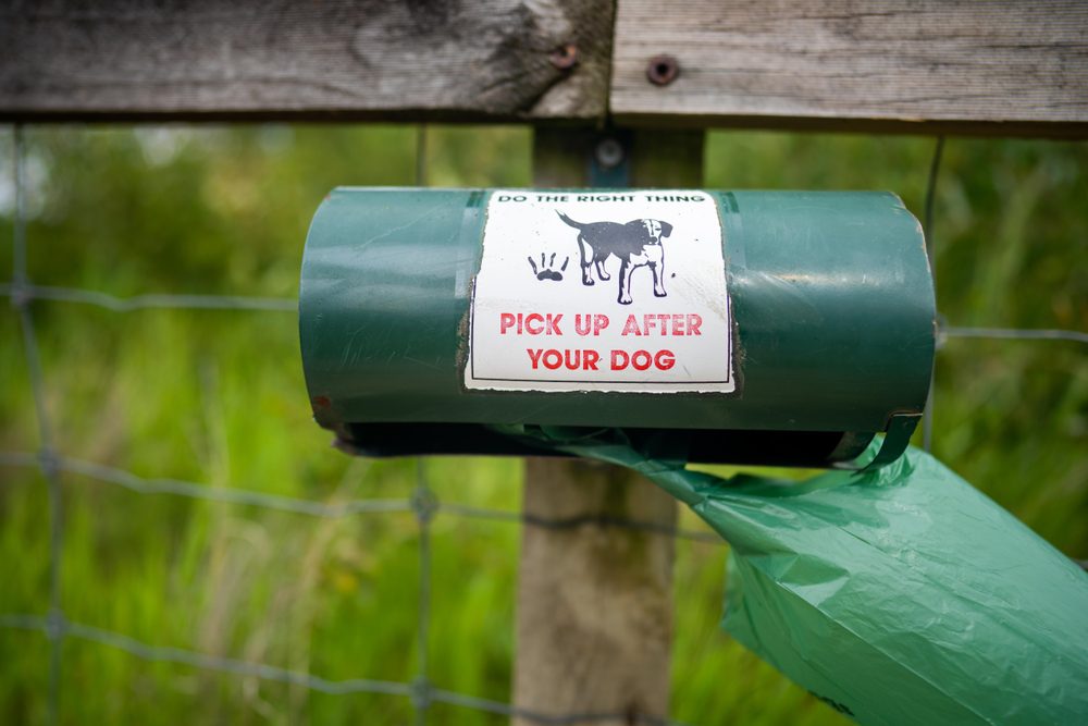 Dog poo bag dispenser