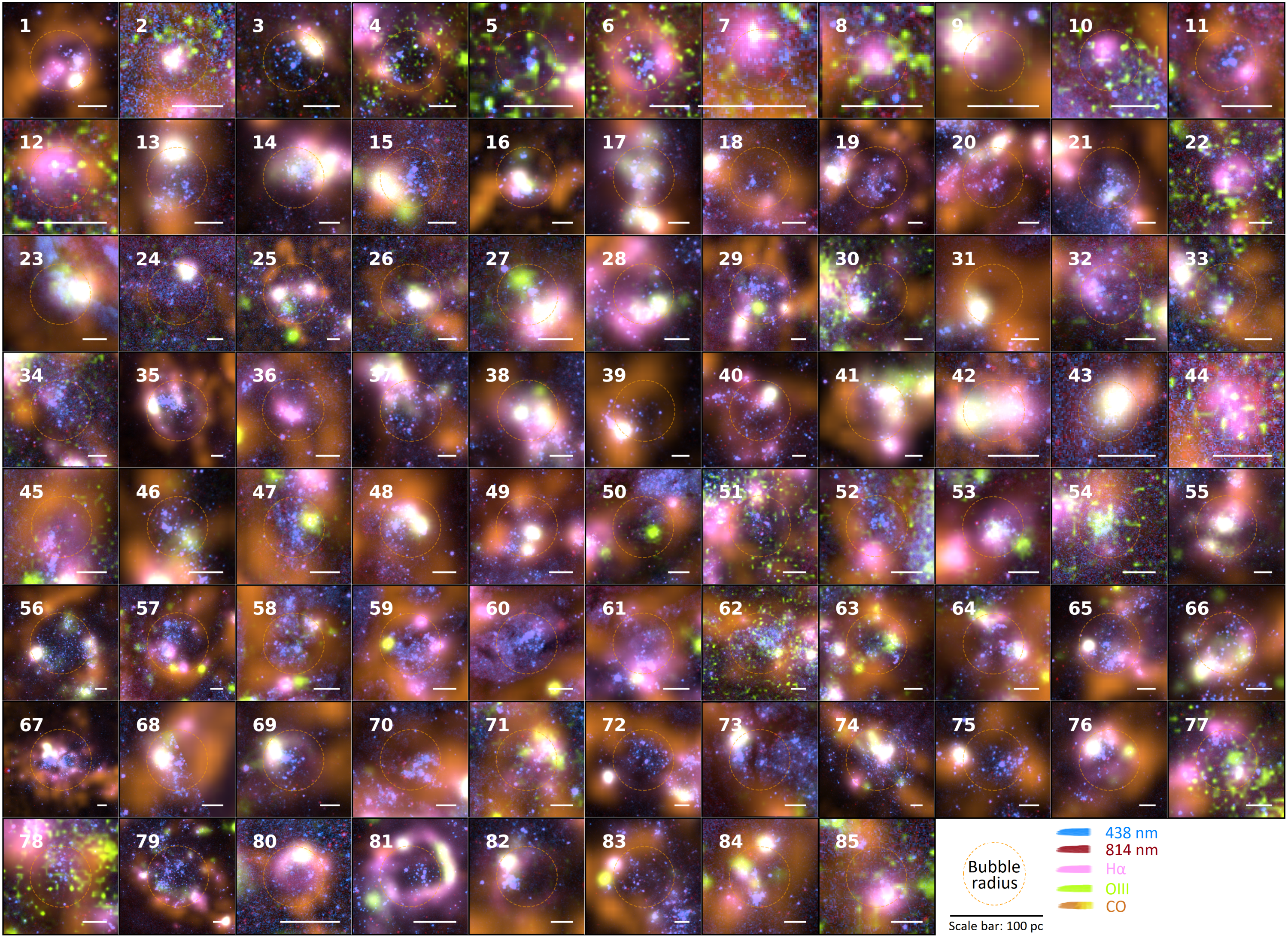 The resolution of ALMA CO is 4times lower than JWST so less bubbles are found. The legend on the plot indicates what is being shown and the colours. In brief: ALMA CO looks at the cold molecular gas, which is the fuel for star formation and is pushed into shells. HST looks at the stars. The OIII shows shocked gas and supernova, and Halpha shows where cold gas is being heated and ionised by the stars. 