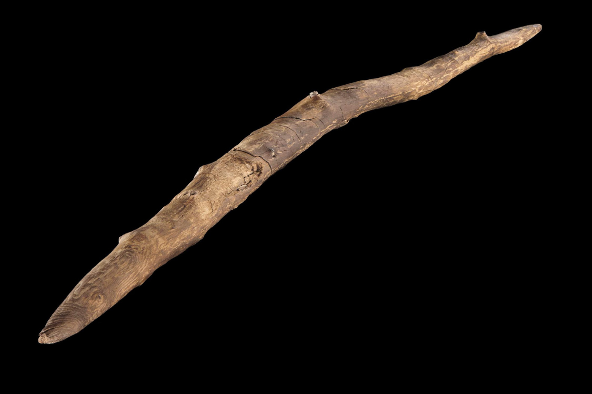 A state-of-the-art Schönigen double-pointed wooden throwing stick made around 300,000 years ago. 