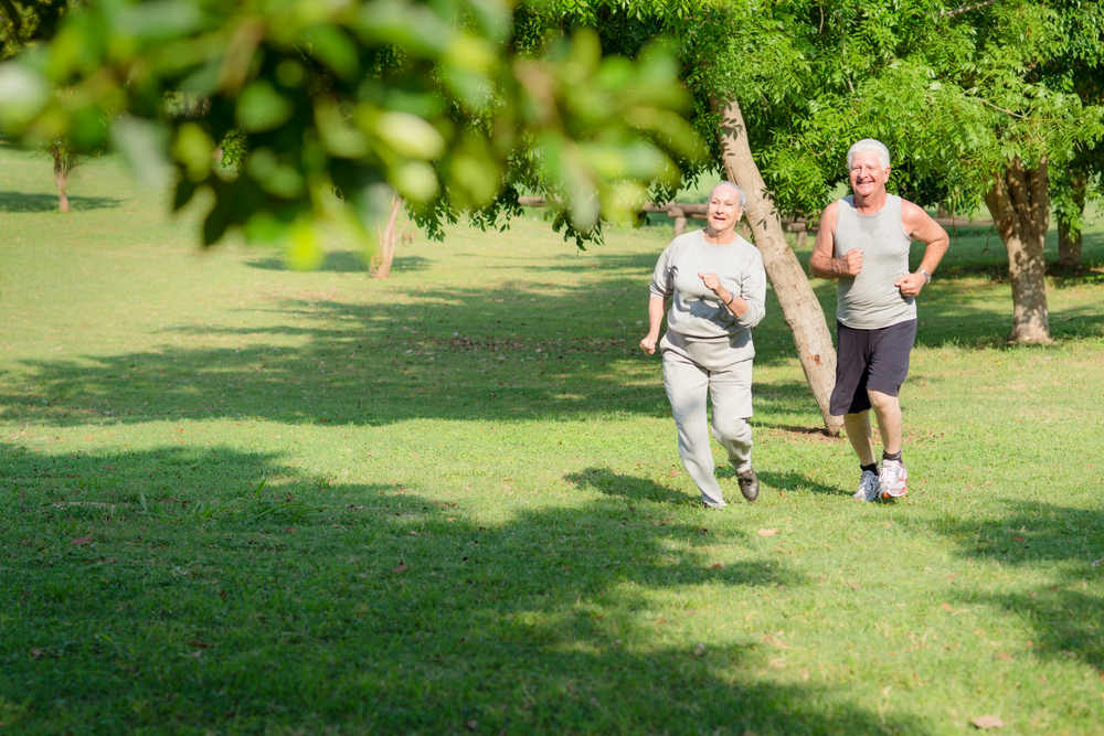 Two people exercising in a park